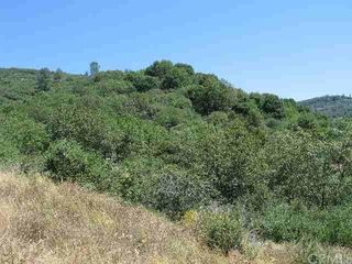 0 CAPRICORN WAY #26, CONCOW, CA 95965