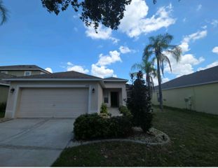6908 Waterbrook Ct, Gibsonton, FL 33534