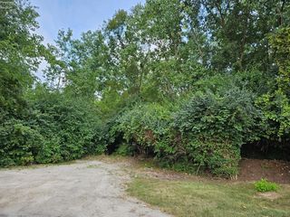 State Route 101, Castalia, OH 44824