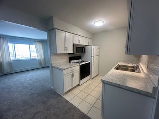 1600 Oakland St #8, Saint Clair, MI 48079