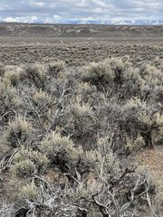 16th Buchanan Ave, Elko, NV 89801