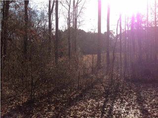 Deer Creek Run, Brandon, MS 39042