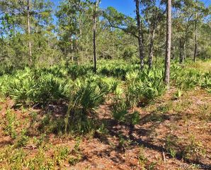 8503 W  Fremont Pl, Homosassaa, FL 34448