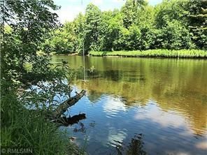 15022 Lofty Pines Rd, Pine City, MN 55063