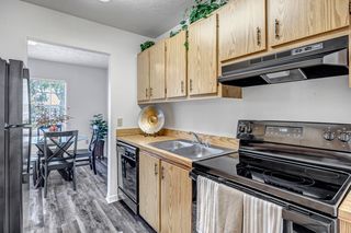 17701 Lake Carlton Dr #dce92e708, Lutz, FL 33558