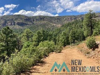 1045 Ctc Ranch Cyn, Mora, NM 87732