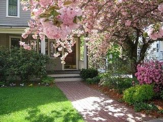 47 Clark St #47, Newton Center, MA 02459