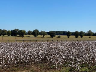 Charleston Hwy, Aiken, SC 29801