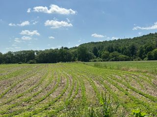 Summit Ave #WP009, Cuba, NY 14727