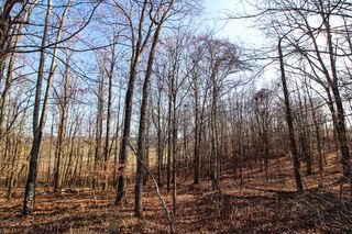 Peters Creek Rd, New Concord, OH 43762