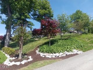126 Boone St, Jonesborough, TN 37659
