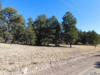 10 Paradise Loop, Quemado, NM 87829