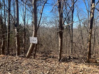 Battleline Dr, Rocky Face, GA 30740
