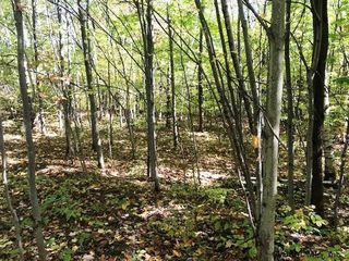 156 CONGRESSMAN Drive, Richmondville, NY 12149