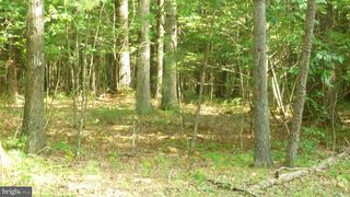 Alum Springs Rd, Edinburg, VA 22824