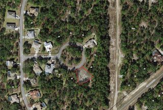 9 Hackberry Ct S, Homosassa, FL 34446