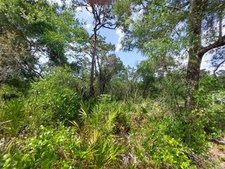 Oconee Blvd #32, New Pt Richey, FL 34654