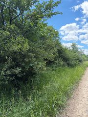 Murphy Lake Rd, Silverwood, MI 48760