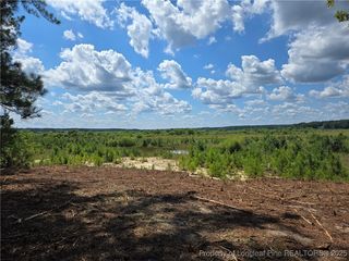 878 Loblolly Dr, Vass, NC 28394