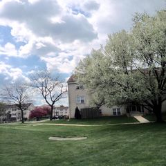 26 Cheswold Blvd #38de2d47e, Newark, DE 19713