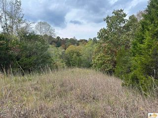8923 Greensburg Rd, Edmonton, KY 42129