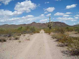 32302 W Galvin Street #50, Wickenburg, AZ 85390