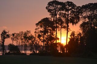 43914 Doctors Cove Rd, Altoona, FL 32702