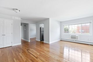 apartments for rent in mineola ny 13 rentals trulia