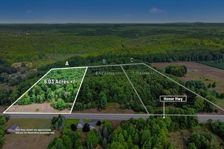 PARCEL Honor Hwy #A, Honor, MI 49640