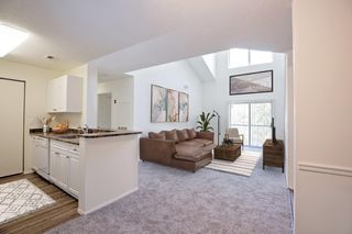 apartments for rent in wallingford ct 14 rentals trulia