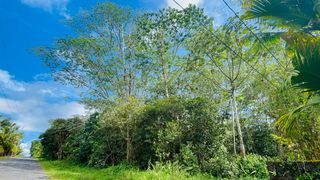 16th Ave #278, Keaau, HI 96749
