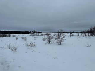 Xxx Birchview Rd, Grasston, MN 55030
