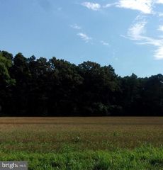 2-133 6.00 18.02 East Piney Grove Rd, Georgetown, DE 19947