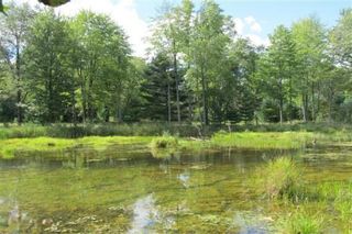 N  Britt Rd, Whittemore, MI 48770