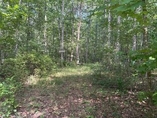 Griff Johnson Rd, Menlo, GA 30731