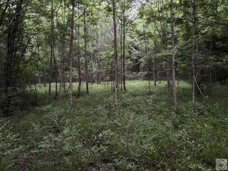 County Road 2742, Marietta, TX 75566