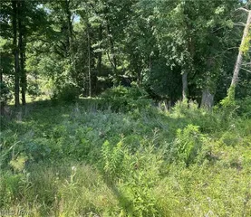 Hills And Dales Rd NW, Canton, OH 44708