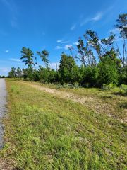 12564 NW Telogia Creek Dr, Bristol, FL 32321