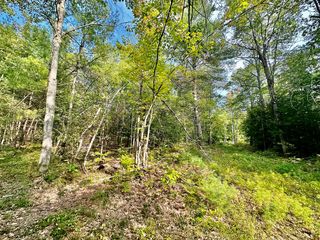 6 Berry Road, Sebago, ME 04075