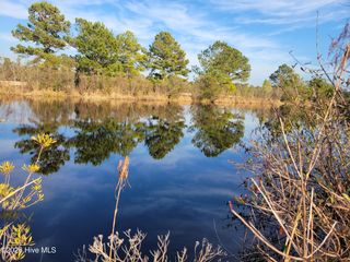 Lot 428 Bay Tree Dr, Harrells, NC 28444