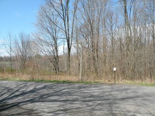 Peet Rd, Newfoundland, PA 18445
