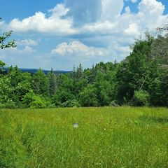 Street Rd, Mansfield, PA 16933