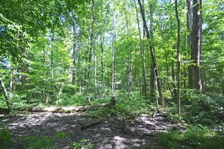 52251 17th Ave, Grand Junction, MI 49056