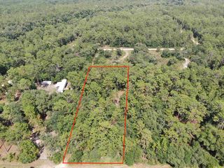 Vacant Ne Timber River Loop #1, Lee, FL 32059