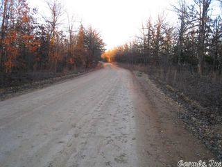 W  Wirth Road Wirth, Mammoth Spring, AR 72554