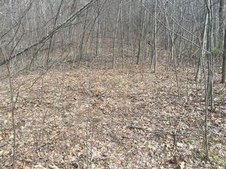 Perkins Hollow Rd, Roan Mountain, TN 37687