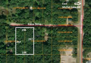 4593&-4613 Kalua Dr, Indian River, MI 49749