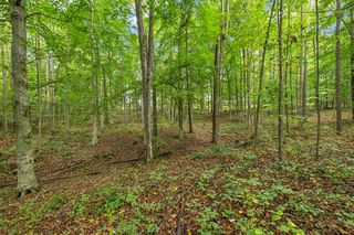 Tidwell Switch Rd #1, Bon Aqua, TN 37025