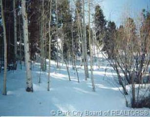 D 78 Elk Road Park #D-78, Coalville, UT 84017