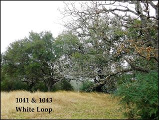 1041-1041 White Loop Rd #1043, Columbus, TX 78934